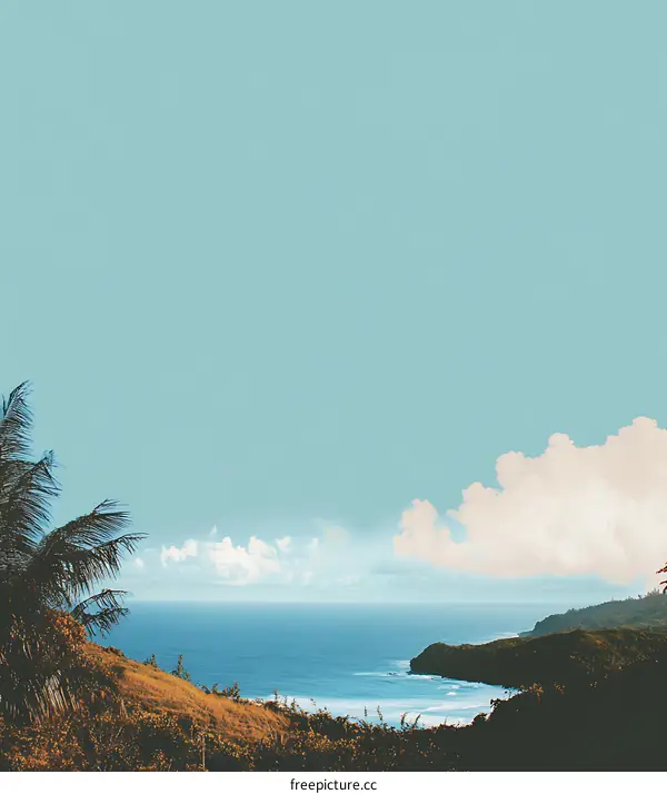 Tropical Ocean View with Palm Tree