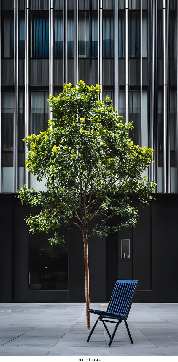 Minimalist Chair with Tree in Front of Modern Building