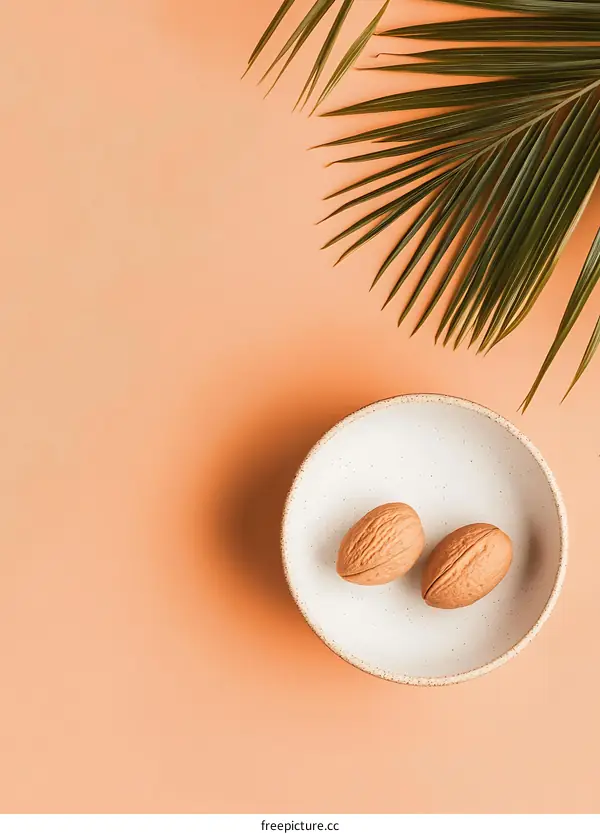 Minimalist Flat Lay of Walnuts in Bowl with Palm Leaf