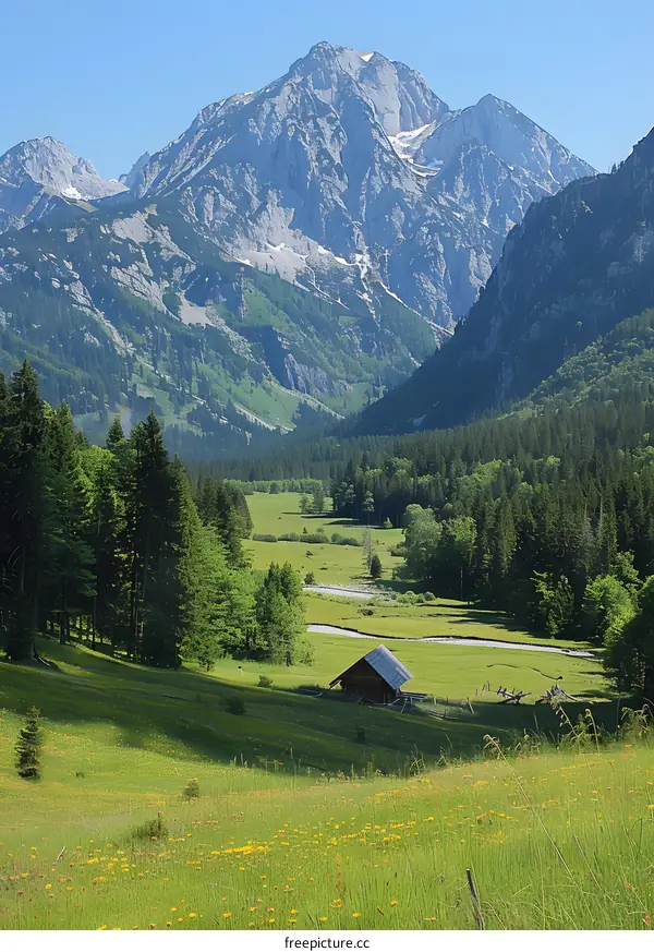 Mountain Meadow With Cabin And Stream In Austria