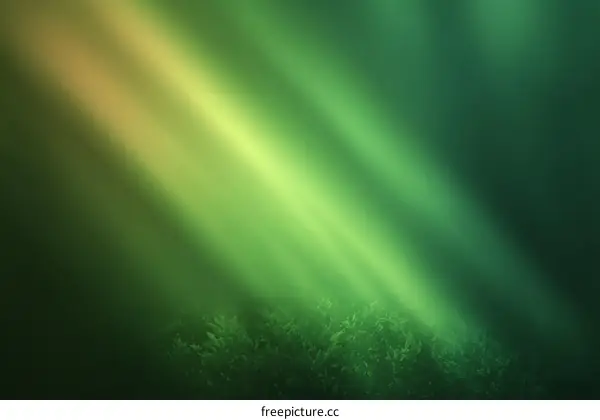 Mysterious Forest Light Rays Abstract Background