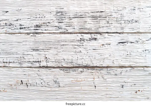 Whitewashed Wooden Plank Texture Background