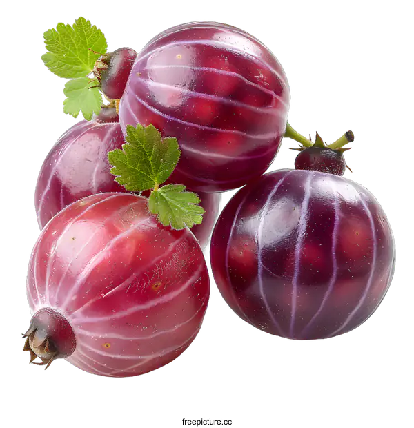 [Transparent Background PNG]gooseberry