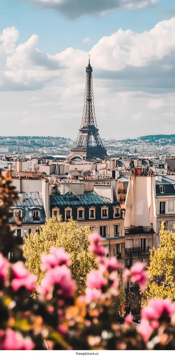Eiffel Tower View From Paris Buildings With Flowers