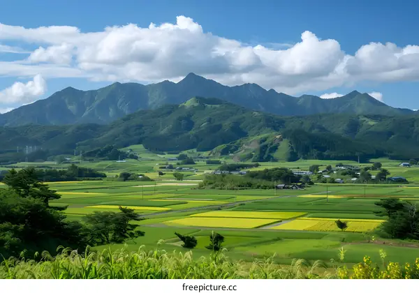 Green Mountains and Fields Landscape in Japan