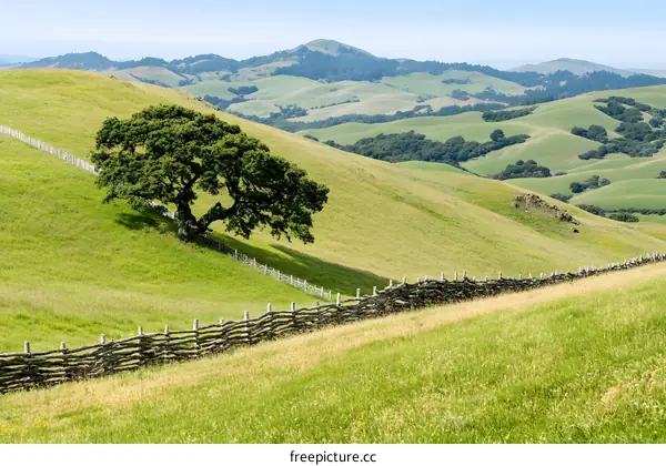 Green Hills and Rolling Hills Landscape