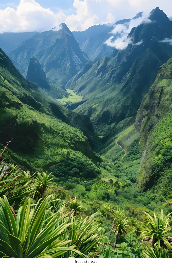 mountain valley landscape with green vegetation