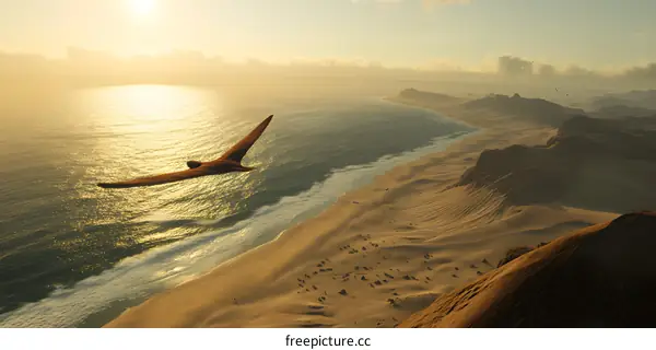 Bird Flying Over Desert Coastline at Sunset