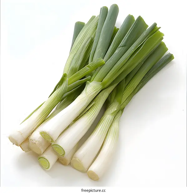 Fresh green spring onion