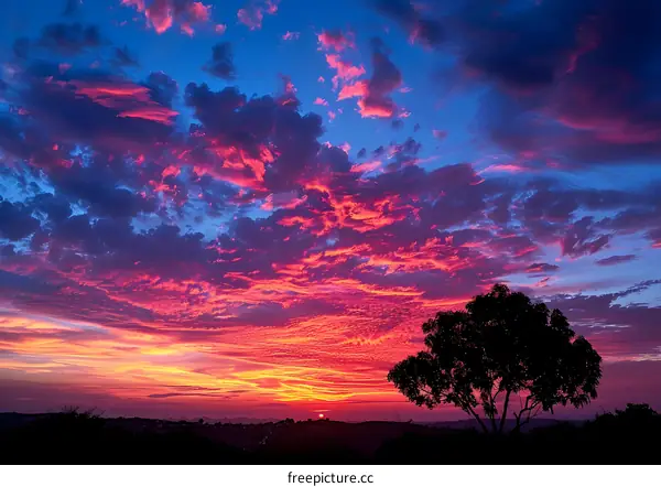 Colorful Sunset Sky with Silhouetted Tree