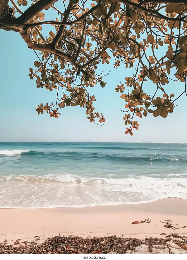 Beach View Through Tree Branches