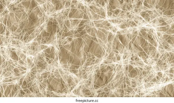 Abstract Beige and White Lines Background