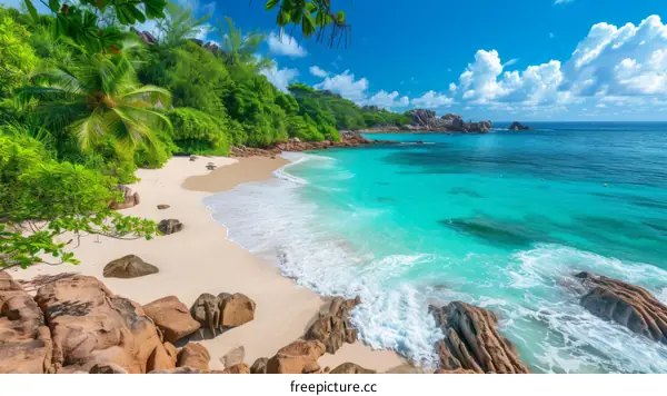 Beach with white sand, turquoise water and green palm trees