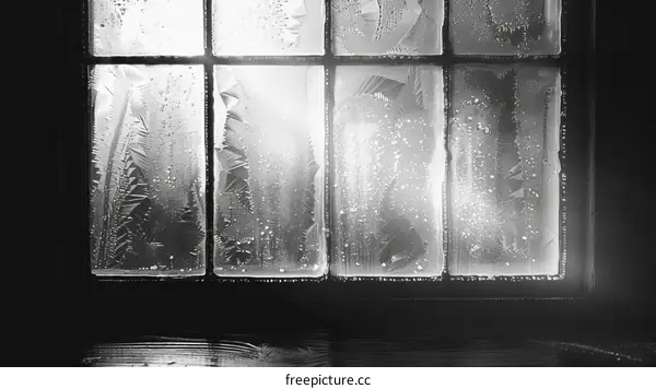 A window covered in beautiful frosty patterns