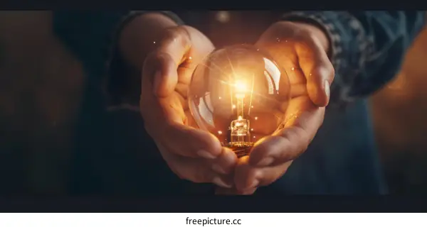 Light bulb in hand representing a bright idea or innovation.