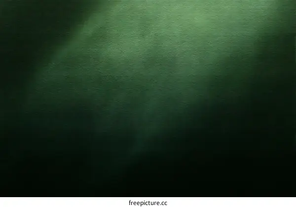 Dark Green Texture Background with Light Shadow