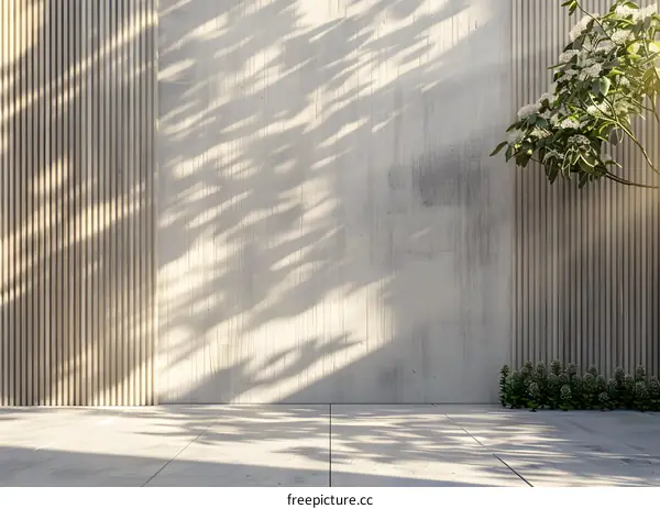 Minimalist Concrete Wall Background with Wooden Panels and Sunlight