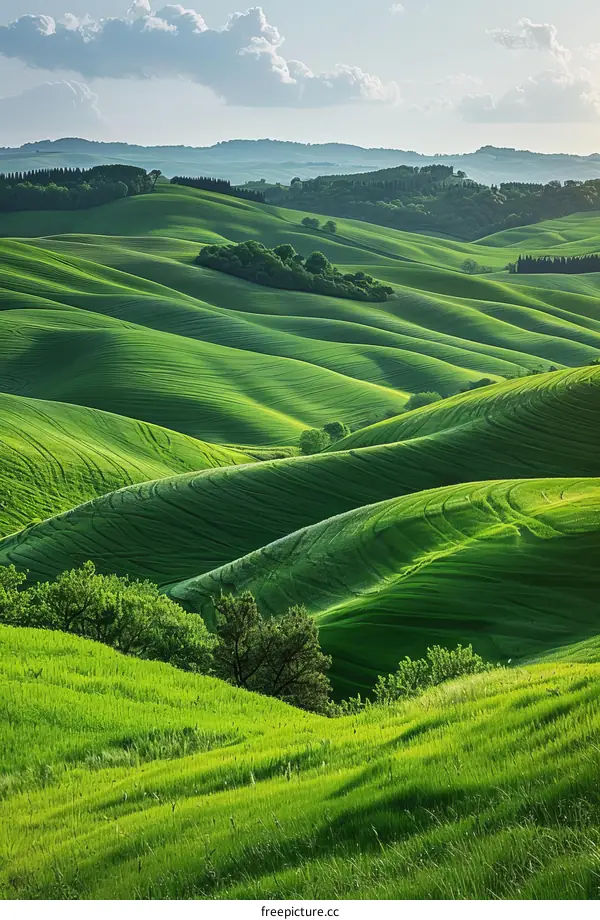 Picturesque green hills of Tuscany, Italy
