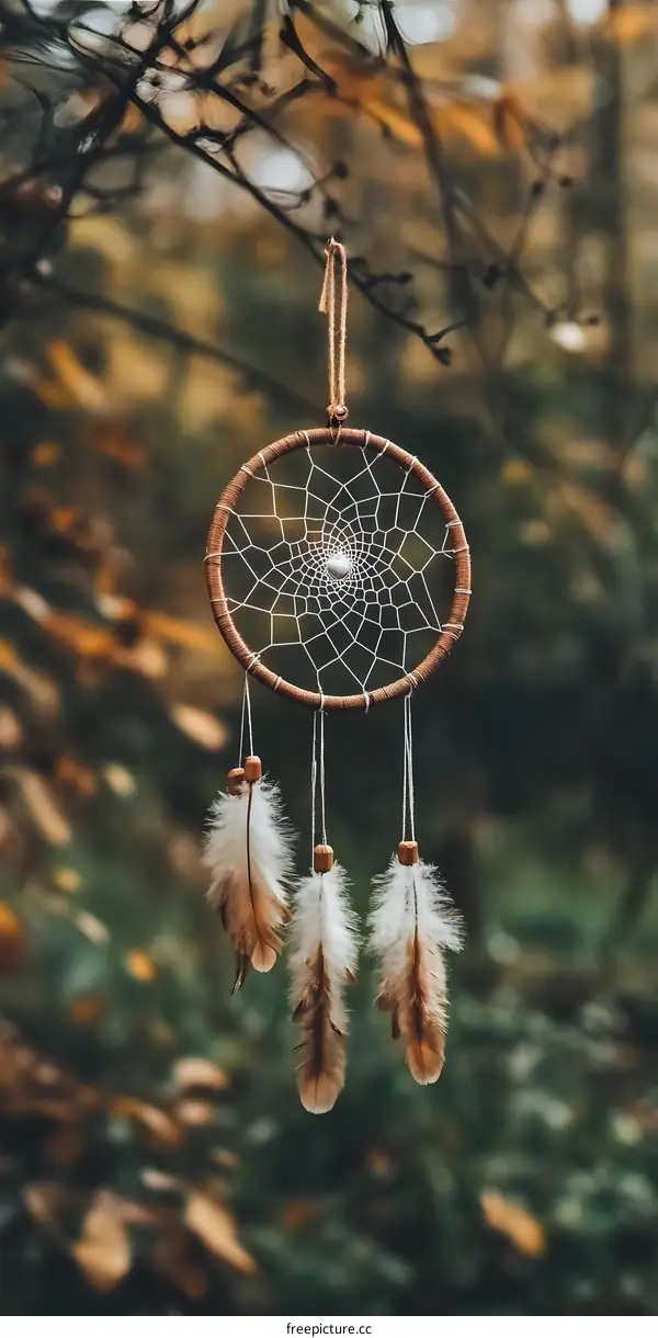 Dreamcatcher Hanging on Branch in Forest