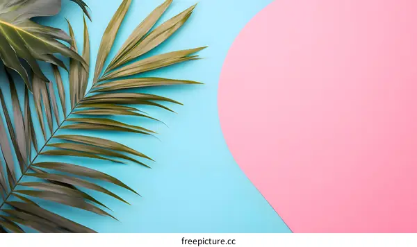 Palm Leaf on Blue and Pink Background Minimalist Design