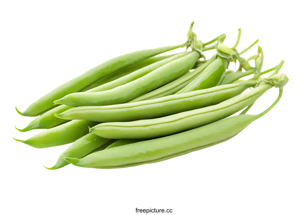[Transparent Background PNG]Fresh Green Beans Close-up
