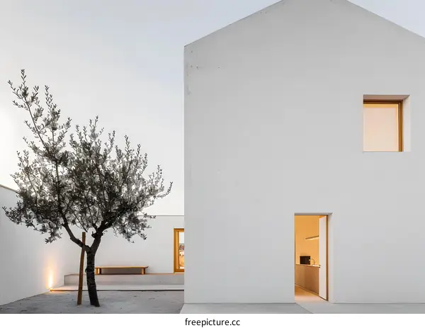 Minimalist White House with Olive Tree in Courtyard