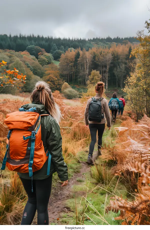 Hiking Trail in Autumn Woods with Backpacks