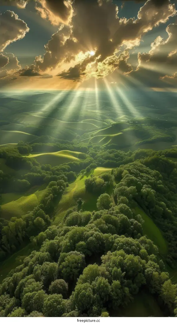 Landscape with green hills and blue sky