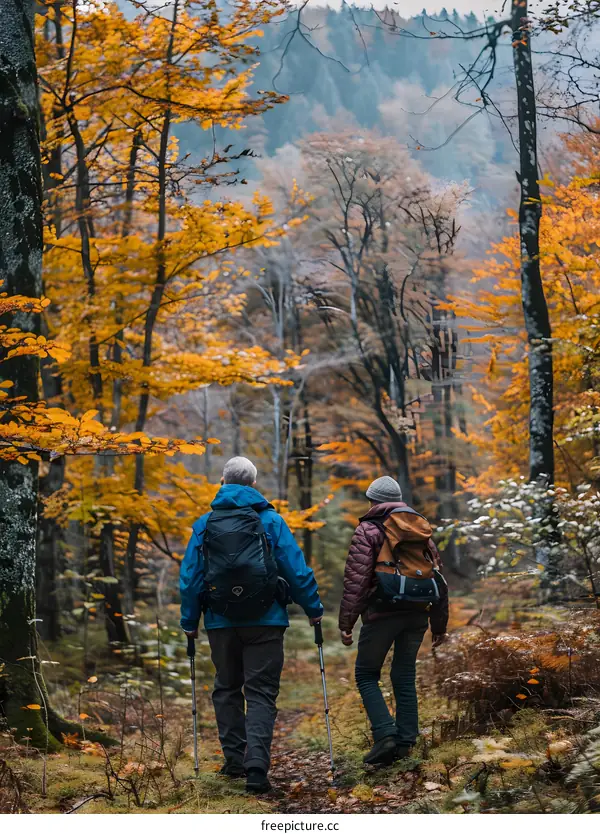 Two Hikers Walking Through Fall Foliage