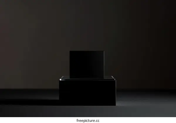 Abstract Black Geometric Product Display