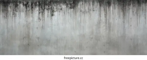 Weathered Gray Concrete Wall Texture