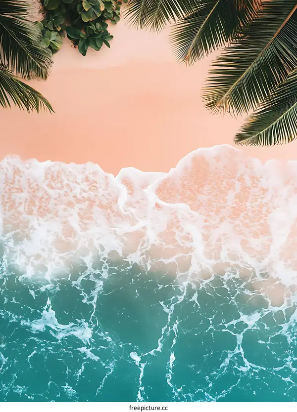 Aerial View of a Tropical Beach with Palm Trees and Waves