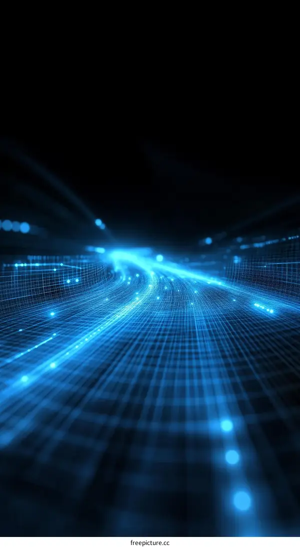 Digital Network Pathway