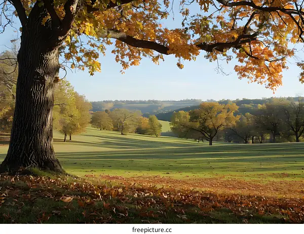 The Picturesque Scenery of Autumn
