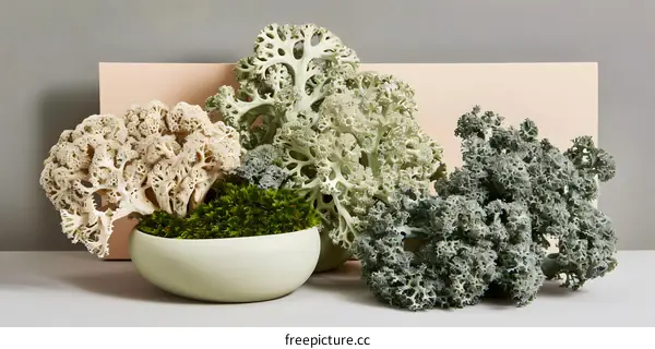 Green and White Dried Plants in a Pot Against a Beige Background