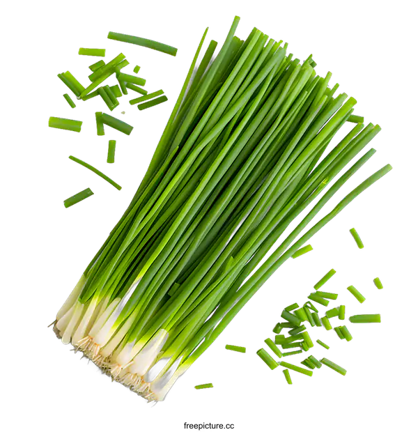 [Transparent Background PNG]Fresh Green Onions on a White Background