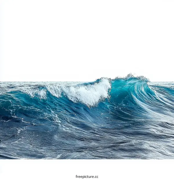 Ocean Wave Motion Dynamic Seascape