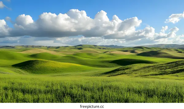 Green Rolling Hills Landscape Under Blue Sky With White Clouds