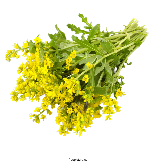 [Transparent Background PNG]Bouquet of Yellow Wildflowers on White