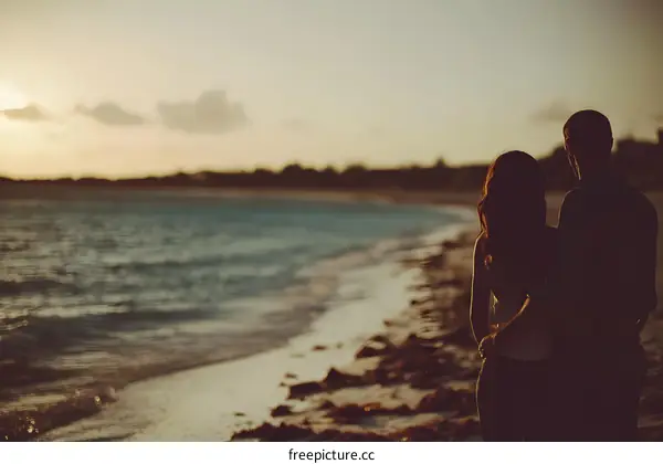 Silhouettes of Couple on the Beach at Sunset