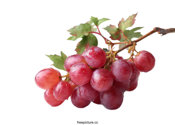 [Transparent Background PNG]Fresh Red Grapes Cluster Close-up