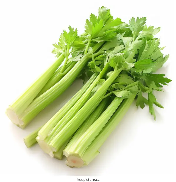 Fresh green celery stalks isolated on white background