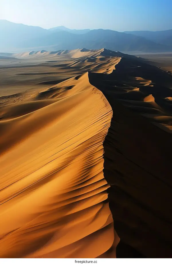 A vast and desolate sand dune landscape with a mountain range in the distance