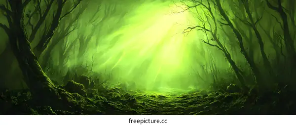 Green Forest Path with Light Rays