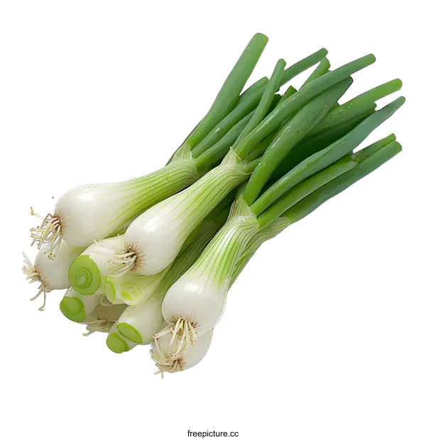 [Transparent Background PNG]Fresh Green Onions on a White Background