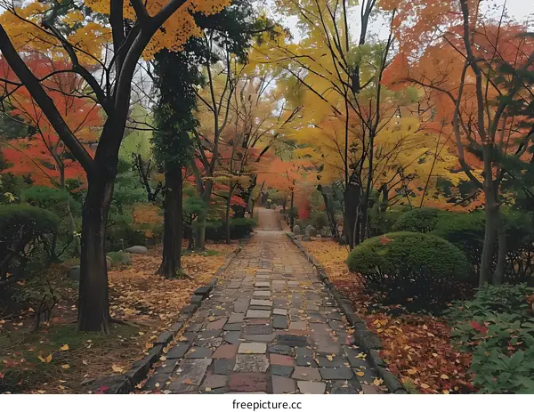 Autumn Path Through the Trees