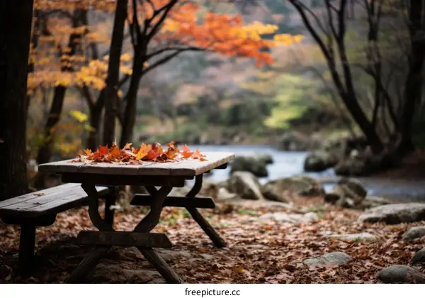 Wooden table and bench in the middle of a forest with a small river flowing in the background