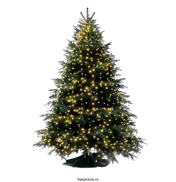 [Transparent Background PNG]Christmas Tree Decorated With Lights