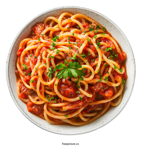 [Transparent Background PNG]spaghetti with tomato sauce
