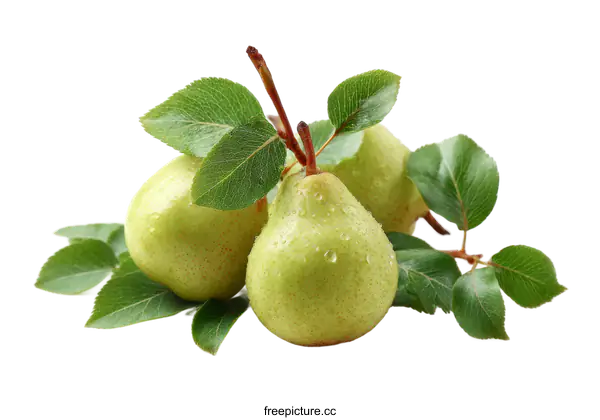 [Transparent Background PNG]Fresh Green Pears with Leaves